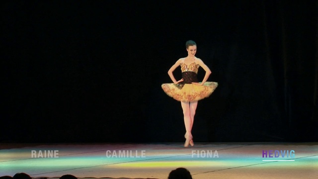 Video Reference: Performing arts, Entertainment, Dancer, Performance, Performance art, Dance, Event, Choreography, Ballet, Sport aerobics, Person