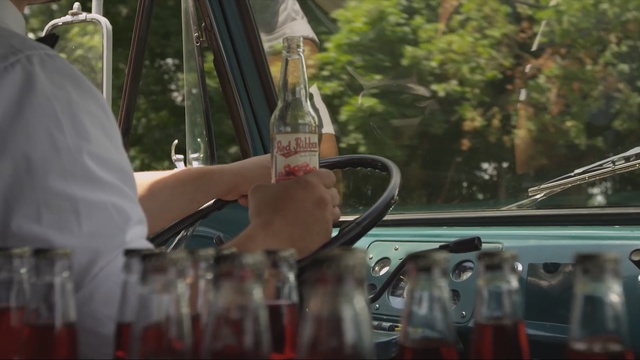 Video Reference: car, water, motor vehicle, vehicle, glass, tree, windshield, plant, window, automotive window part