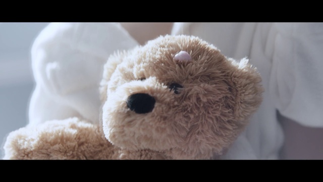 Video Reference: Stuffed toy, Teddy bear, Toy, Plush, Snout, Bear, Puppy