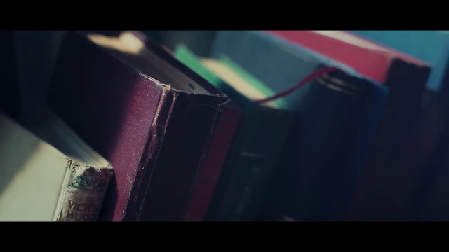 Video Reference: Black, Blue, Green, Red, Light, Pink, Magenta, Line, Textile, Audio equipment