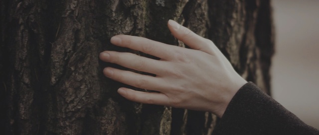 Video Reference: hand, finger, arm, neck, girl, wood, nail, thumb