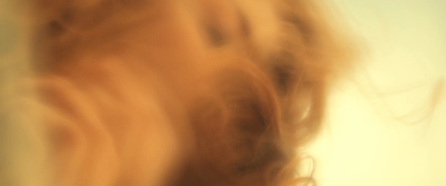 Video Reference: Nose, Yellow, Brown, Close-up, Eye, Snout, Sky, Wood, Caramel color, Photography
