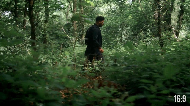 Video Reference: ecosystem, vegetation, nature reserve, forest, jungle, woodland, tree, old growth forest, plant, rainforest