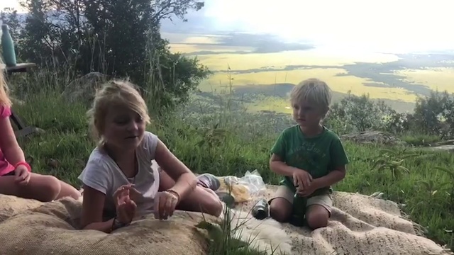 Video Reference: Adaptation, Grass, Rock, Landscape, Wildlife, Child, Vacation, Fawn