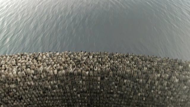 Video Reference: people, man, men, water, wall