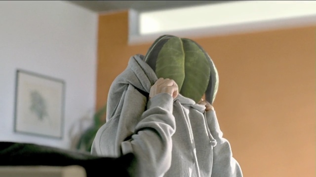 Video Reference: window