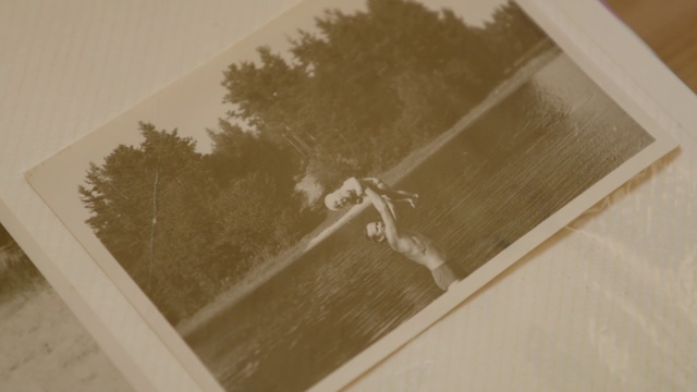 Video Reference: Room, Ceiling, Material property, Photography, Wood