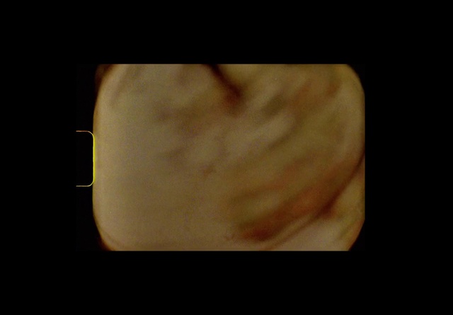 Video Reference: Nose, Skin, Ear, Close-up, Neck, Organ, Mouth, Chest, Flesh, Still life photography