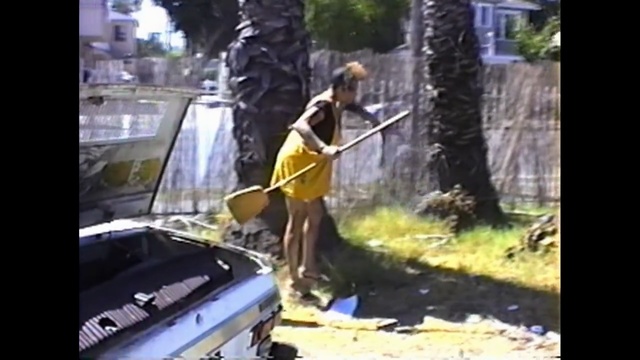 Video Reference: Tree, Mode of transport, Woody plant, Asphalt, Glass, Vehicle, Automotive window part, Windshield, Plant, Window, Person