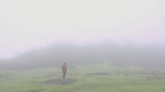 Video Reference: Fog, Mist, Atmospheric phenomenon, Haze, Sky, Grassland, Morning, Atmosphere, Cloud, Ecoregion