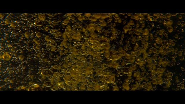 Video Reference: yellow, organism, night, water, darkness, macro photography, computer wallpaper