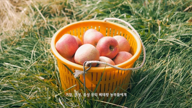 Video Reference: fruit, local food, grass, produce, apple, natural foods, food, peach