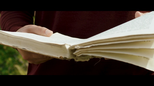 Video Reference: arm, close up, hand, wood, material, wing