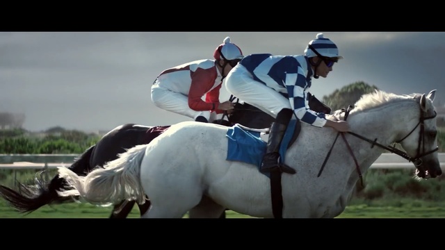 Video Reference: Horse, Jockey, Bridle, Rein, Mammal, Animal sports, Halter, Equestrian sport, Mane, Horse tack