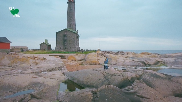 Video Reference: Rock, Tower, Sea, Coast, Lighthouse, Tourism, Historic site, Screenshot, Landscape, Sand, Outdoor, Grass, Building, Standing, Stone, Small, Sitting, Water, Large, Green, Walking, Bird, Group, Man, Field, Enclosure, White, Sky, Cloud