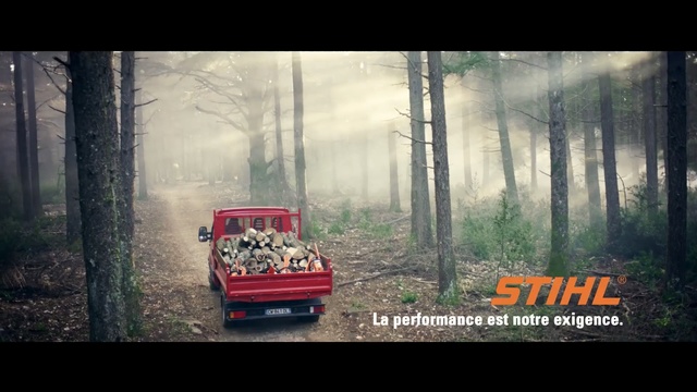 Video Reference: nature, forest, tree, morning, screenshot, computer wallpaper, landscape