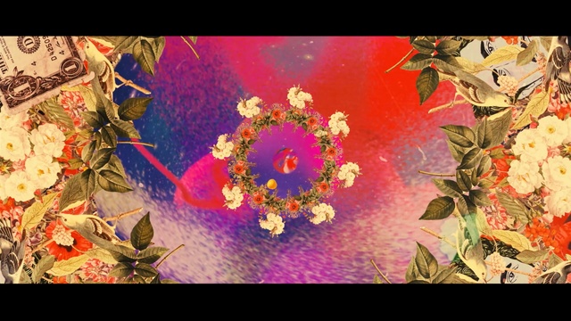 Video Reference: yellow, flora, flower, flower arranging, art, floristry, fractal art, petal, computer wallpaper, floral design