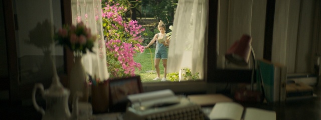 Video Reference: flower, room, home, plant, window, interior design, house, floristry, decor, table