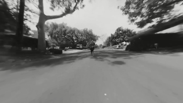 Video Reference: snow, lane, white, road, winter, black, black and white, monochrome photography, tree, sky
