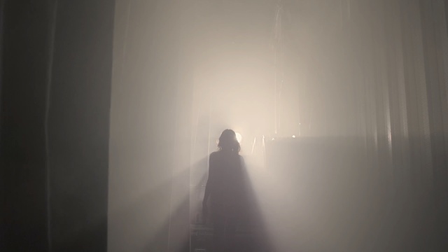 Video Reference: fog, mist, light, atmosphere, snapshot, black and white, darkness, sky, shadow, Person