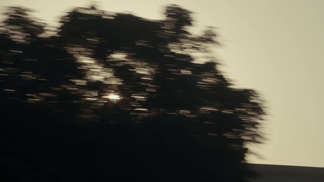 Video Reference: Atmosphere, Water, Branch, Cloud, Wood, Twig, Plant, Natural landscape, Dusk, Sky