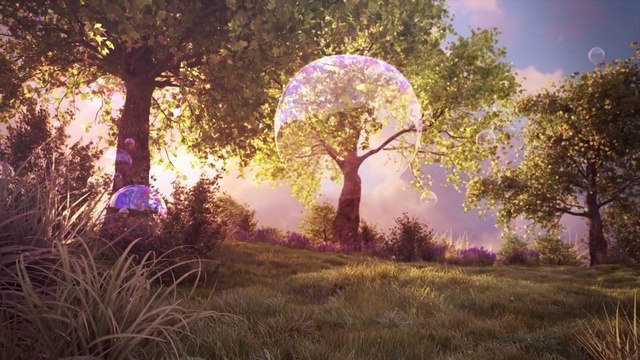 Video Reference: nature, tree, woodland, forest, light, sunlight, morning, grass, sky, computer wallpaper, Person