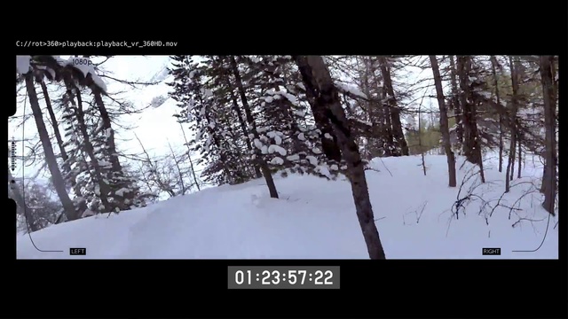 Video Reference: Snow, Winter, Nature, Tree, Freezing, Adaptation, Woody plant, Photography, Wildlife, Forest