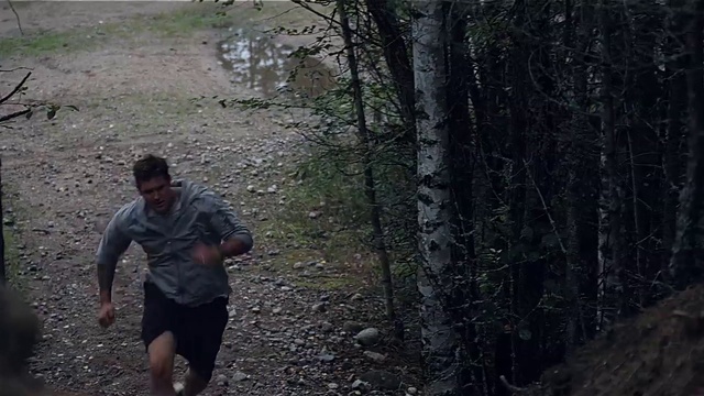Video Reference: Trail, Outdoor recreation, Running, Recreation, Jogging, Ultramarathon, Woodland, Forest, Long-distance running, Tree