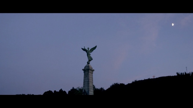 Video Reference: Landmark, Sky, Monument, Statue, Atmosphere, National historic landmark, Tree, Calm, Photography, Night