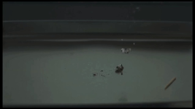 Video Reference: black, atmosphere, darkness, sky, line, invertebrate, screenshot, water, space