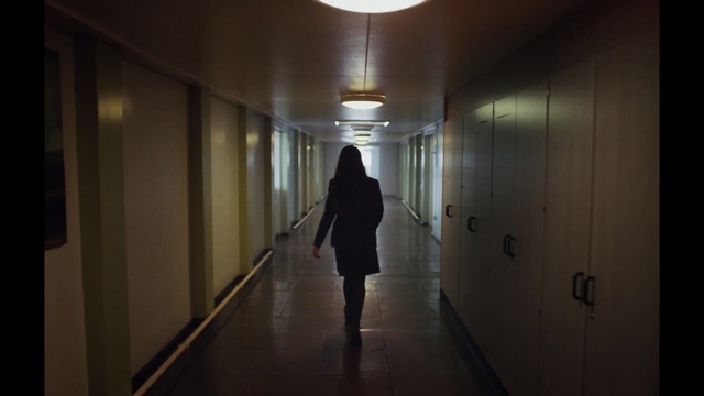 Video Reference: darkness, light, snapshot, lighting, hall, house, girl, shadow, floor, night, Person