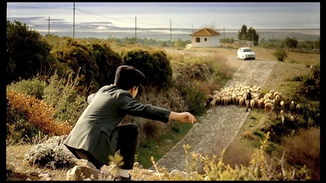 Video Reference: Photography, Rural area, Grass, Adaptation, Landscape