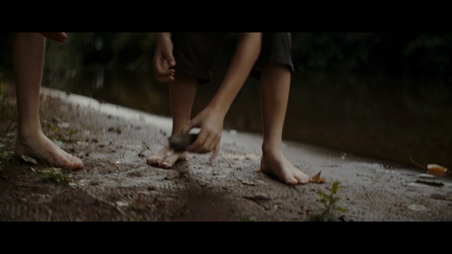 Video Reference: photograph, leg, nature, foot, mammal, girl, vertebrate, barefoot, hand, snapshot