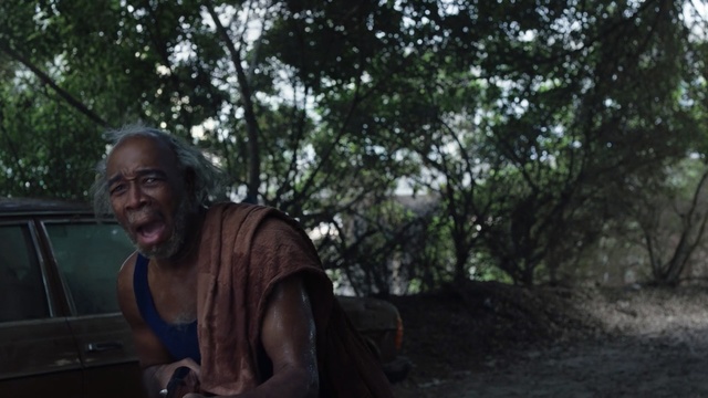 Video Reference: Natural environment, Jungle, Tree, Human, Adaptation, Forest, Sitting, Photography, Sunlight, Outdoor, Person, Man, Standing, Young, Holding, Woman, Black, Riding, Red, Water, Board, Street, Statue, Human face, Clothing