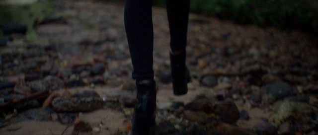 Video Reference: tree, water, grass, soil, darkness, plant, forest, screenshot, Person