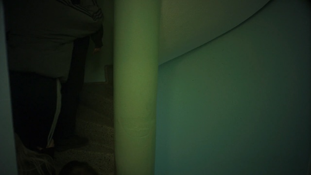 Video Reference: green, light, darkness, snapshot, lighting, wood, angle, house, space