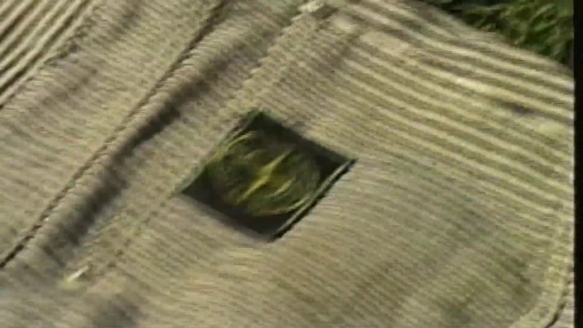 Video Reference: Leaf, Pattern, Textile
