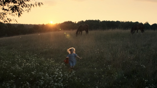 Video Reference: Atmospheric phenomenon, Morning, Grassland, Sky, Pasture, Sunlight, Grass, Rural area, Wildlife, Savanna