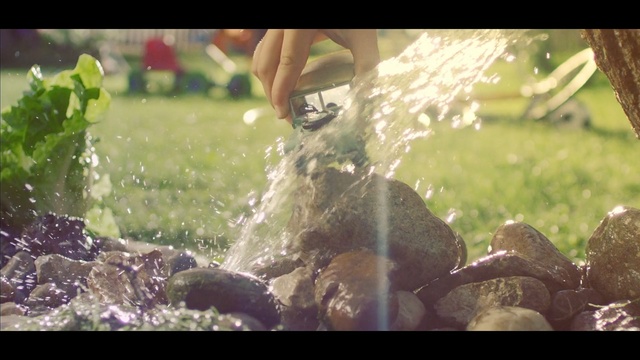 Video Reference: water, nature, grass, leaf, tree, plant, photography, sunlight, fun, girl