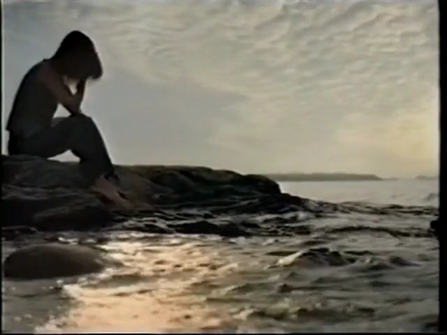 Video Reference: mammal, mode of transport, geological phenomenon, water, wind wave, sea, wave, vacation, fun, sky