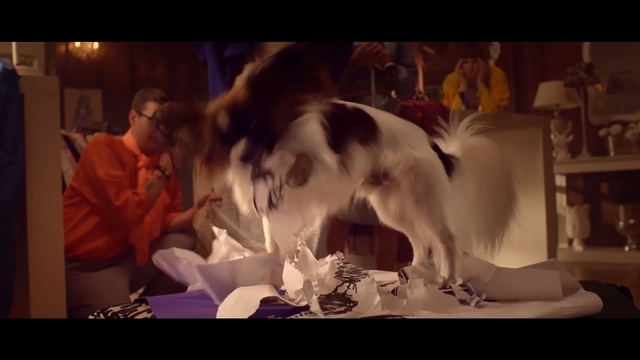 Video Reference: mammal, vertebrate, dog like mammal, screenshot, carnivoran, girl