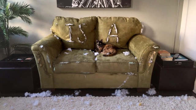 Video Reference: furniture, couch, loveseat, chair, recliner, sofa bed, table, studio couch, product