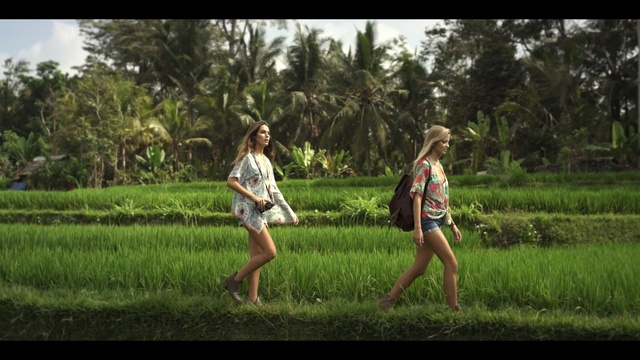 Video Reference: People in nature, Nature, Photograph, Grass, Green, Paddy field, Fun, Natural environment, Meadow, Friendship