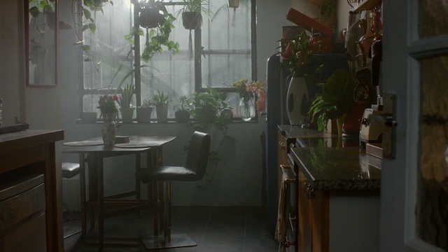 Video Reference: property, room, interior design, window, home, table, furniture, countertop, house, dining room