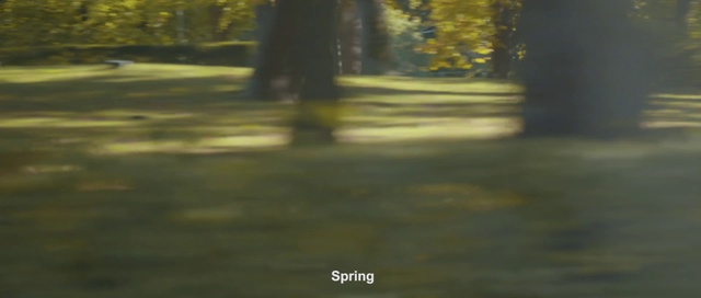 Video Reference: Nature, Green, Tree, Sunlight, Light, Yellow, Morning, Atmospheric phenomenon, Leaf, Sky