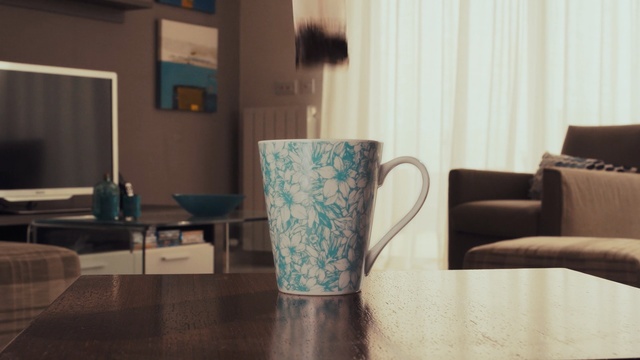 Video Reference: room, furniture, table, interior design, chair, home, floor, flooring, living room, couch