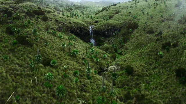 Video Reference: Vegetation, Nature reserve, Nature, Water resources, Natural landscape, Jungle, Rainforest, Natural environment, Forest, Hill station