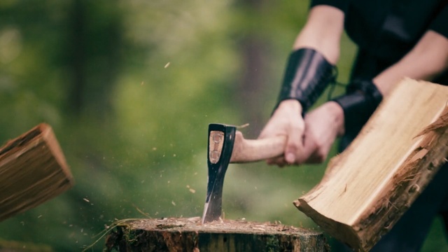 Video Reference: wood chopping, wood, grass, tree