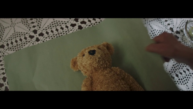 Video Reference: Teddy bear, Stuffed toy, Toy, Plush