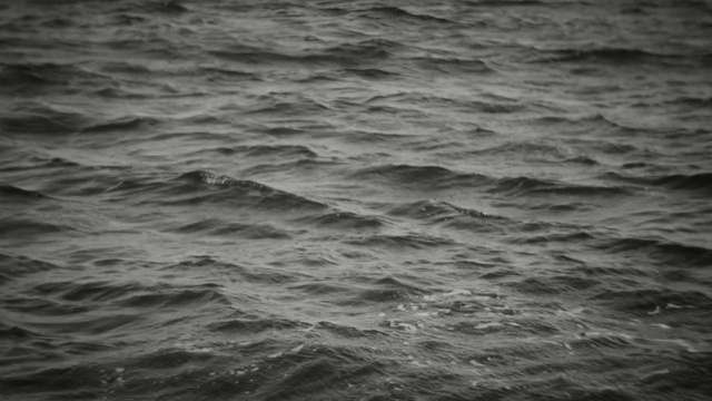 Video Reference: water, sea, black and white, ocean, wave, wind wave, monochrome photography, sky, horizon, calm